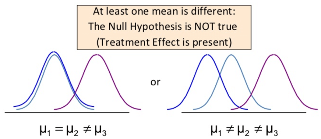 Hypothesis Test 
