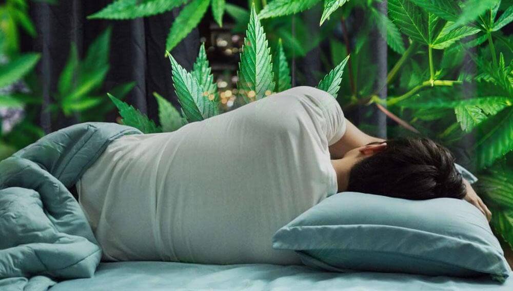 CBD Helps in Sleep