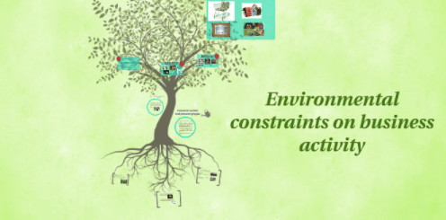 Environmental Constraints