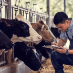 Best Cattle Record Keeping Apps