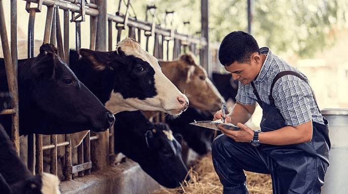 Best Cattle Record Keeping Apps