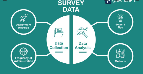 Data Collection Surveys