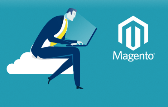 best Magento developer