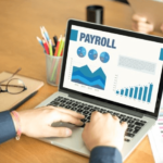 Modern Payroll Software