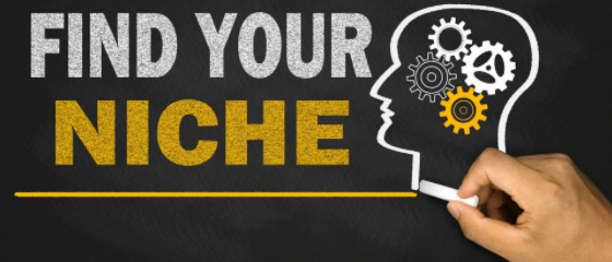 Identify Your Best Niches