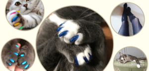 Cat Nail Caps Material