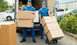 Movers Company