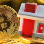 Real Estate or Bitcoin