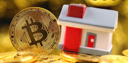 Real Estate or Bitcoin