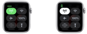 Reset your Apple Watch's Network Settings