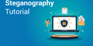 reasons why you should use STEGANOGRAPHY