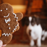 Pet Food