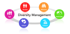 What is diversity management?