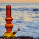 Guide to Bong Shapes