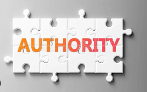 Authority in SEO