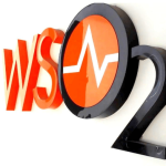 WSO2 HBS List Index