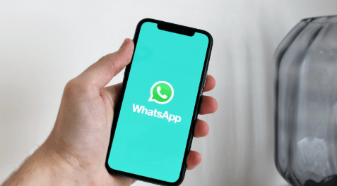 WhatsApp LogicalShout